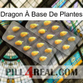 Dragon À Base De Plantes cialis2